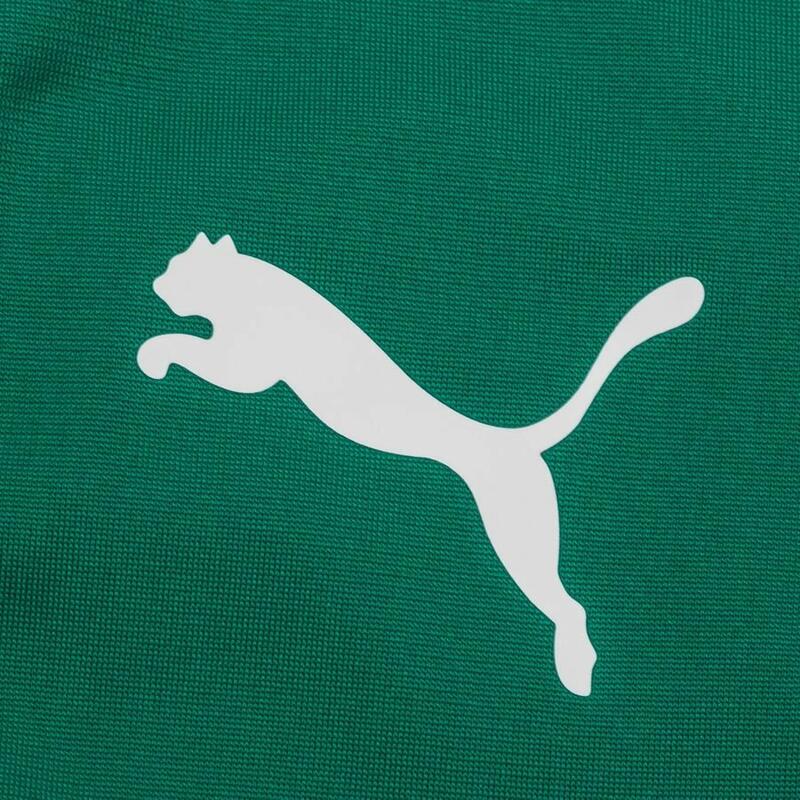 Bluza barbati Puma Teamliga 14 Zip Top, Verde
