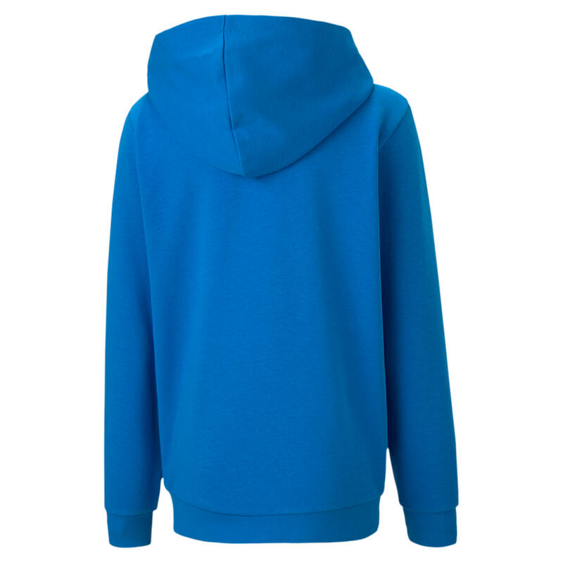 Kinder-Hoodie Puma Team Goal 23 Casuals