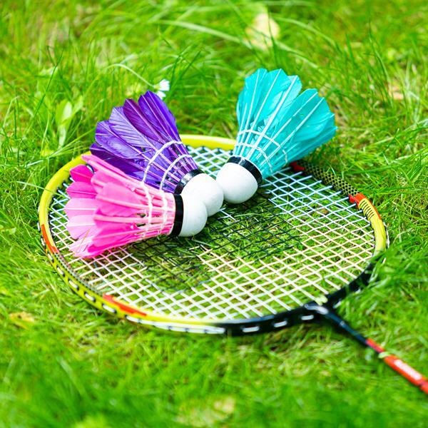 Set de rachete de badminton cu husă Nils NRZ204