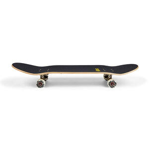 Skateboard Completo per iniziare Barded Wire Grey 7.87”