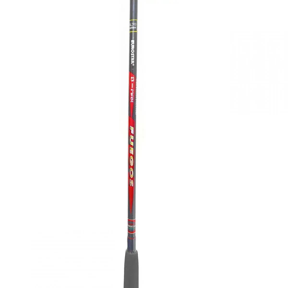 EUROSTAR D MAX MULTIPICKER 300 2+2 2/4