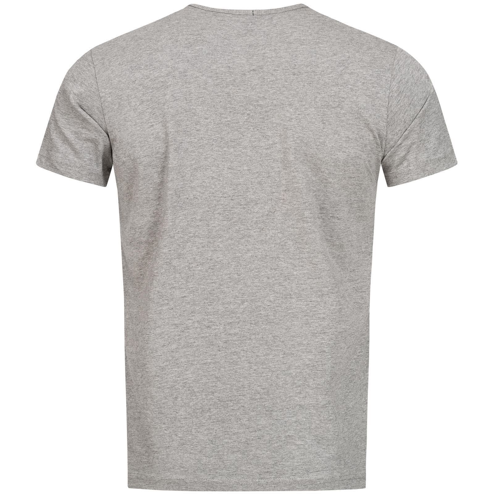 BENLEE Heren-T-shirt slim fit MANIFESTO 2/4
