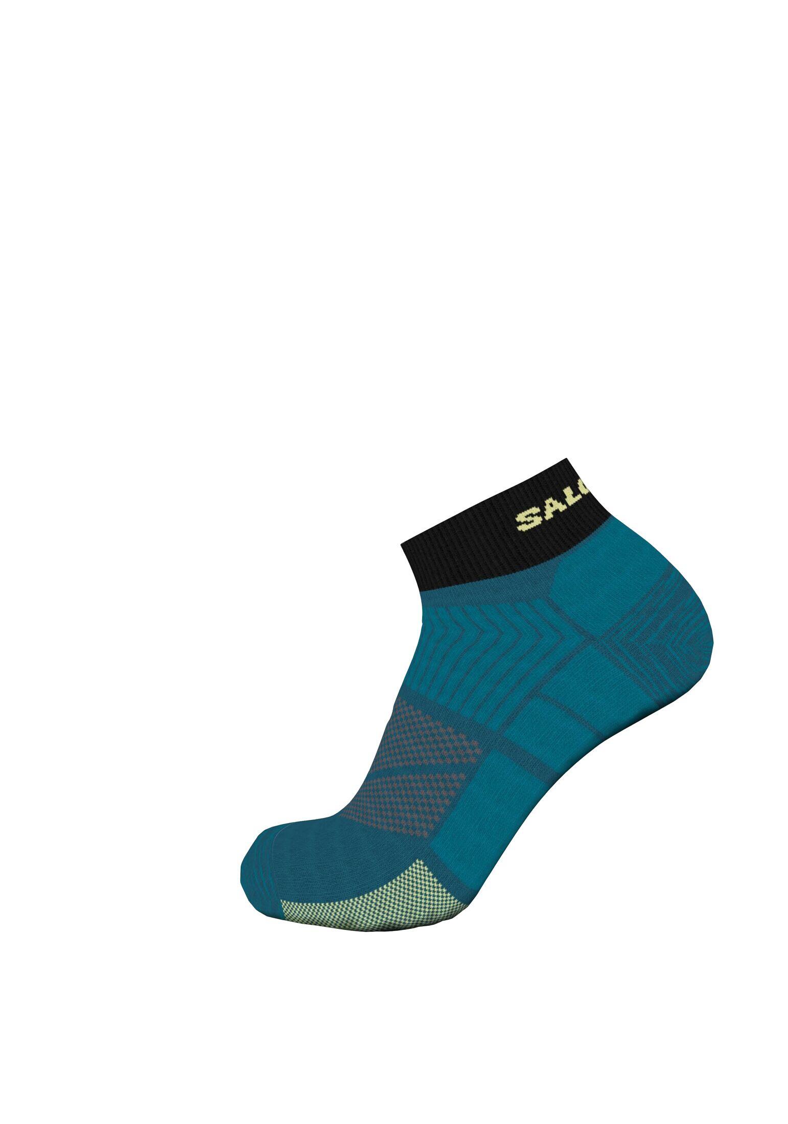 SALOMON picture