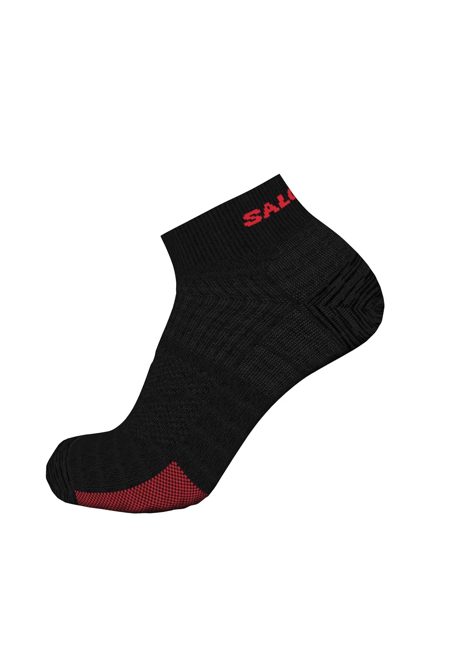 SALOMON picture