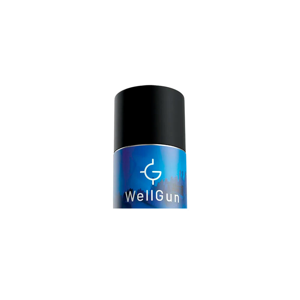 Espuma biodegradável para limpeza de armas lata 400 ml Wellgun 2/2