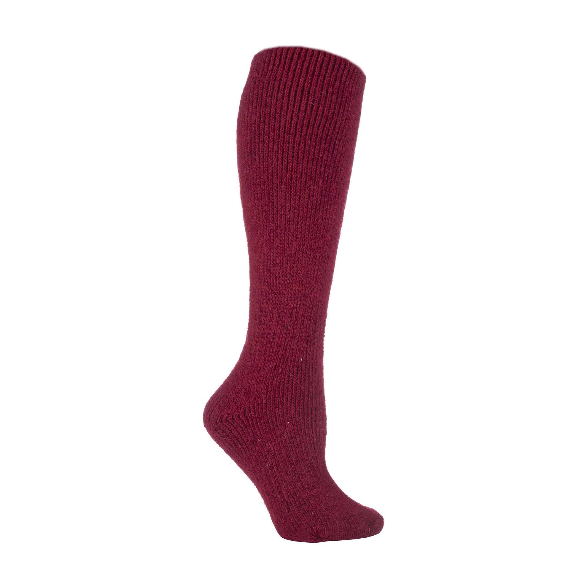 HEAT HOLDERS Ladies Extra Long Thick 2.7 TOG Knee High Thermal Wool Socks