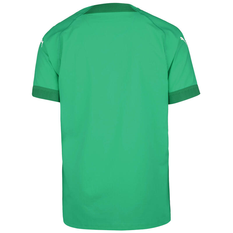 Fußballtrikot teamFinal Herren PUMA