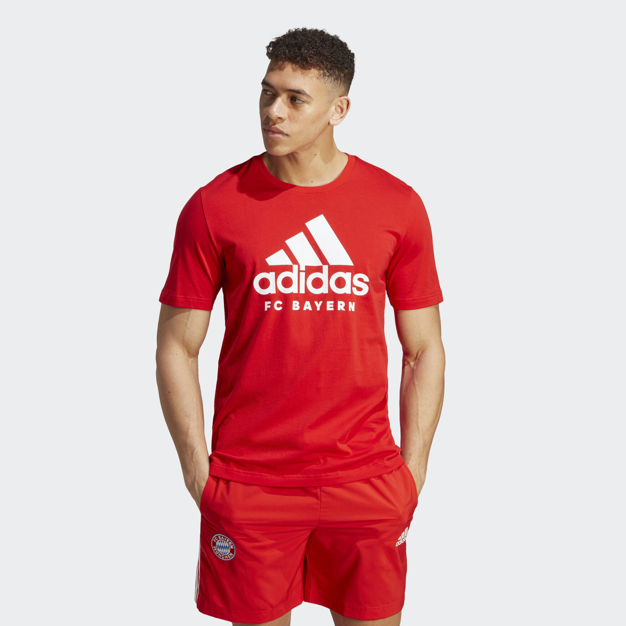 ADIDAS FC Bayern DNA Graphic Tee