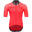 Stelvio MD1604 ruby-black M