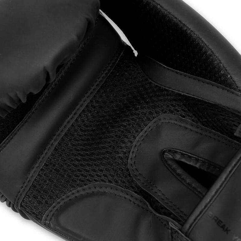 Boxerské rukavice DBX BUSHIDO B-2v21 10oz.