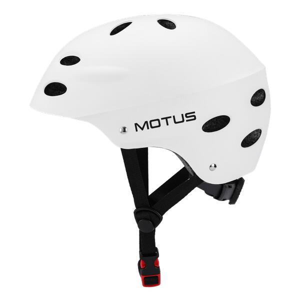 MOTUS picture
