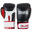 LONSDALE Boxhandschuhe aus Leder WINSTONE