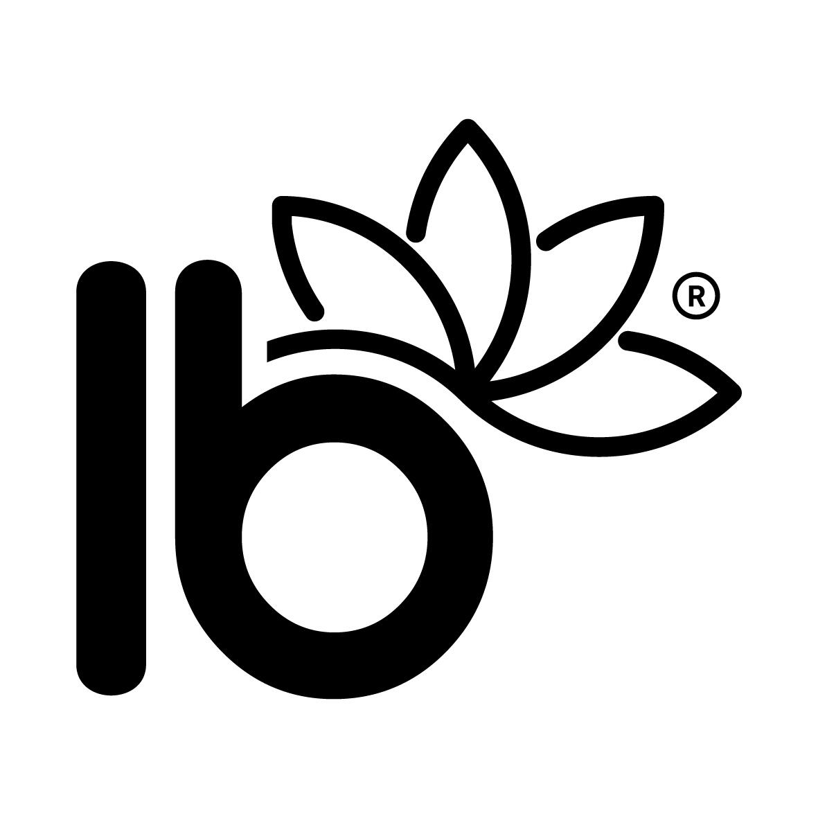 Bloque de yoga IBOARDS 5/7
