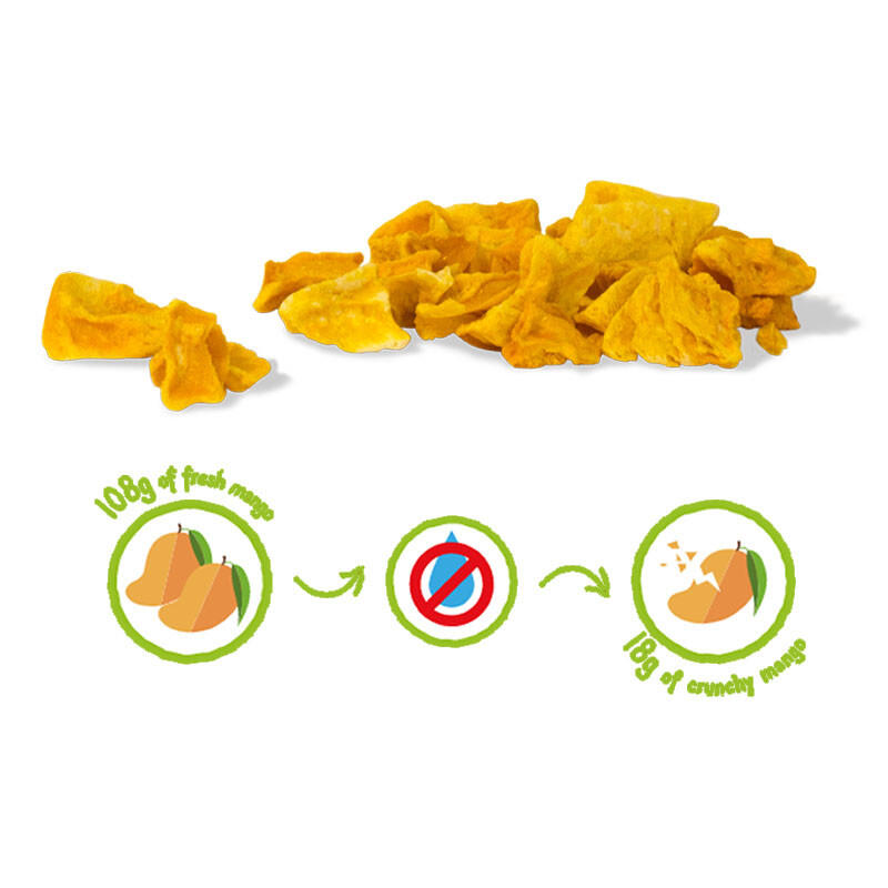 MANGUE CRUNCHY FRUIT BIO X12 - 216g