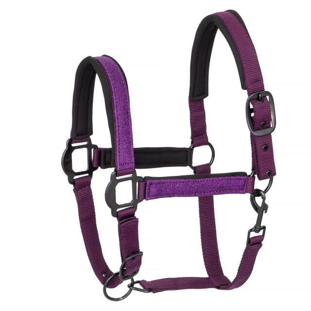 Fioletowy