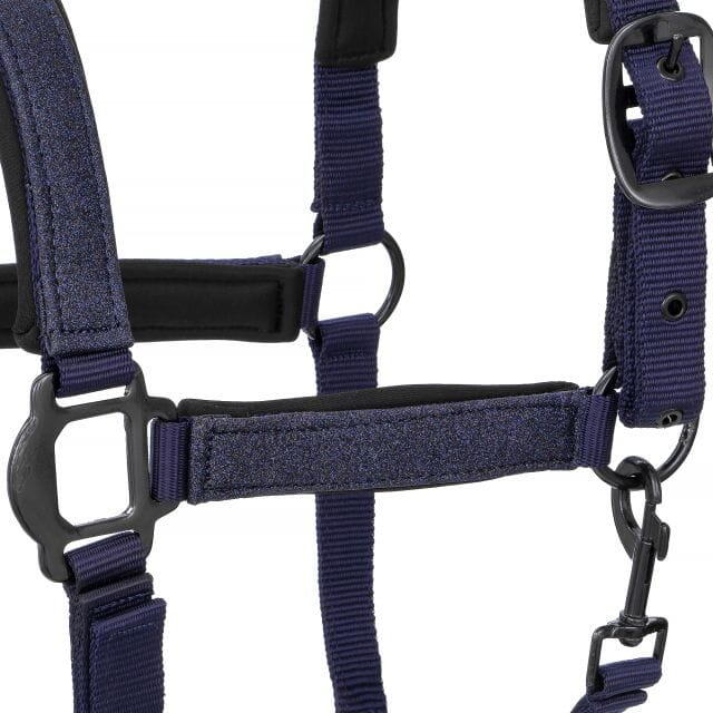 Licol équitation Neoprene Glitter 2/2