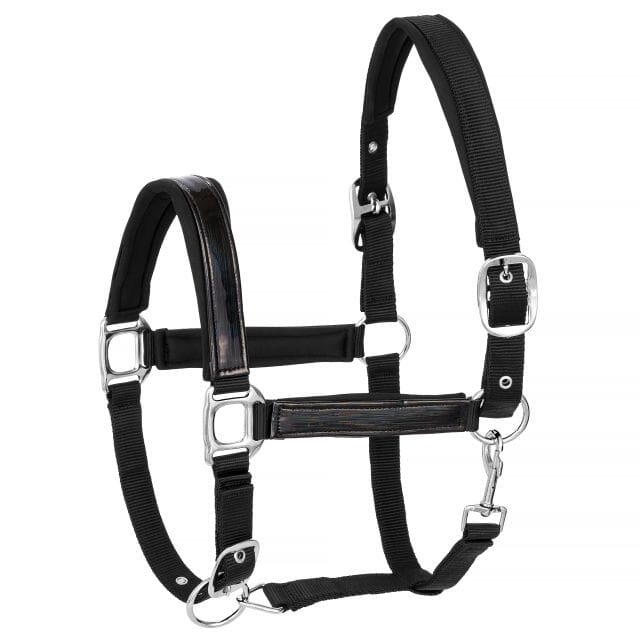Halter din neopren START Holo
