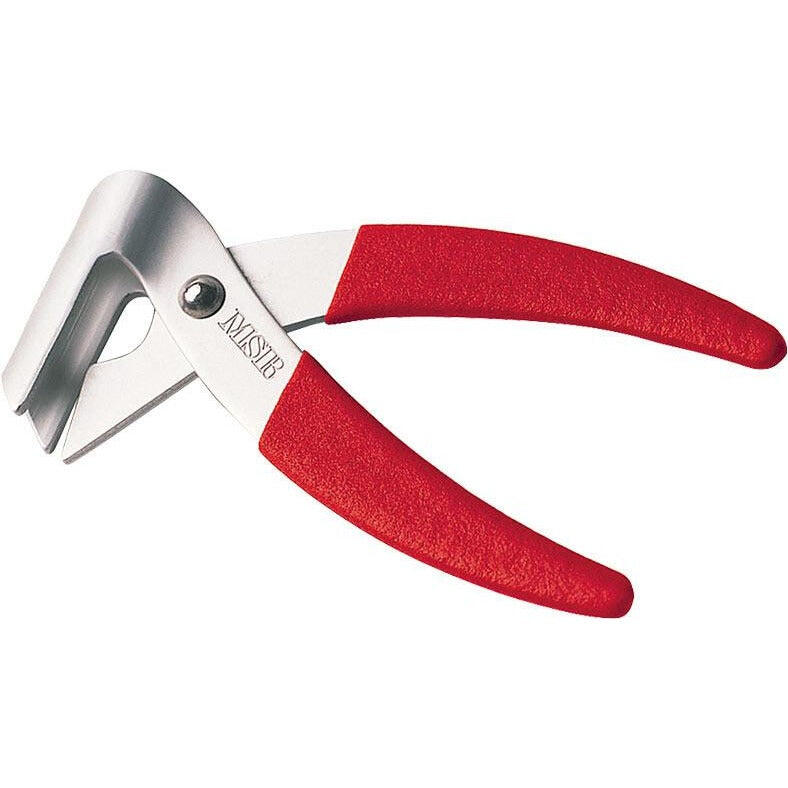 MSR MSR Alpine LiteLifter
