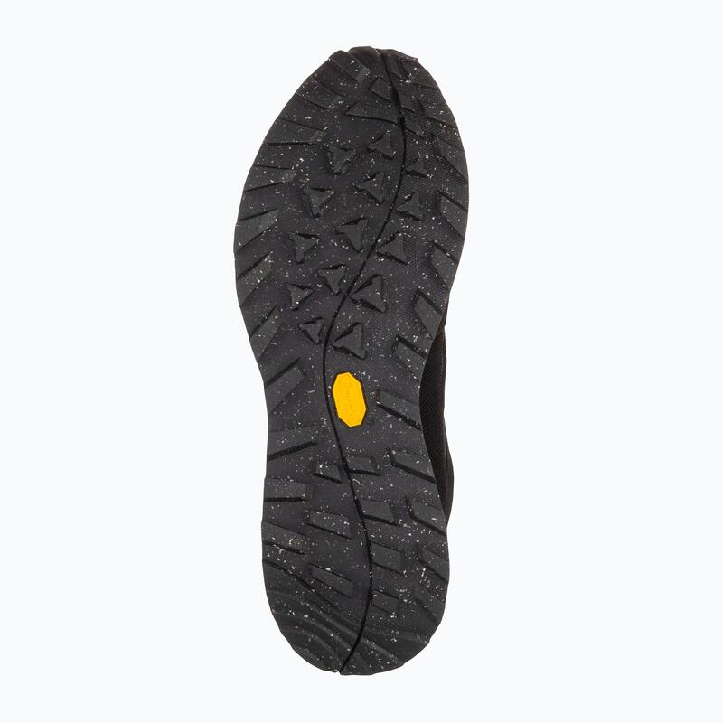 Bocanci de trekking pentru bărbați Jack Wolfskin Terraquest Texapore Low