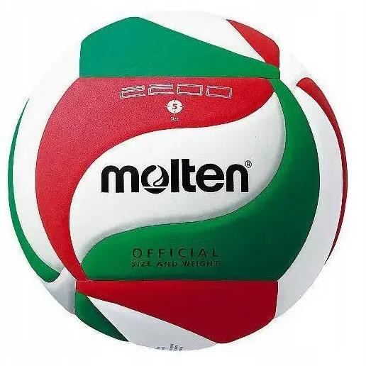 Logo Volleyball (White/Red/Green)