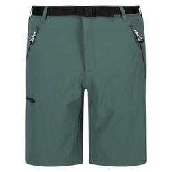 Pantalon De Randonnee Homme - REGATTA Xert StrShort III - Sea Pine