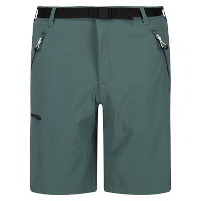 Hiking Pants Clothing Herren - REGATTA Xert StrShort III - Sea Pine
