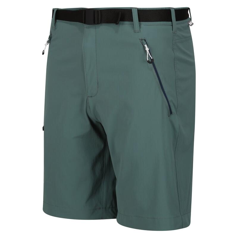 Calças de caminhada para homem - REGATTA Xert StrShort III - Sea Pine