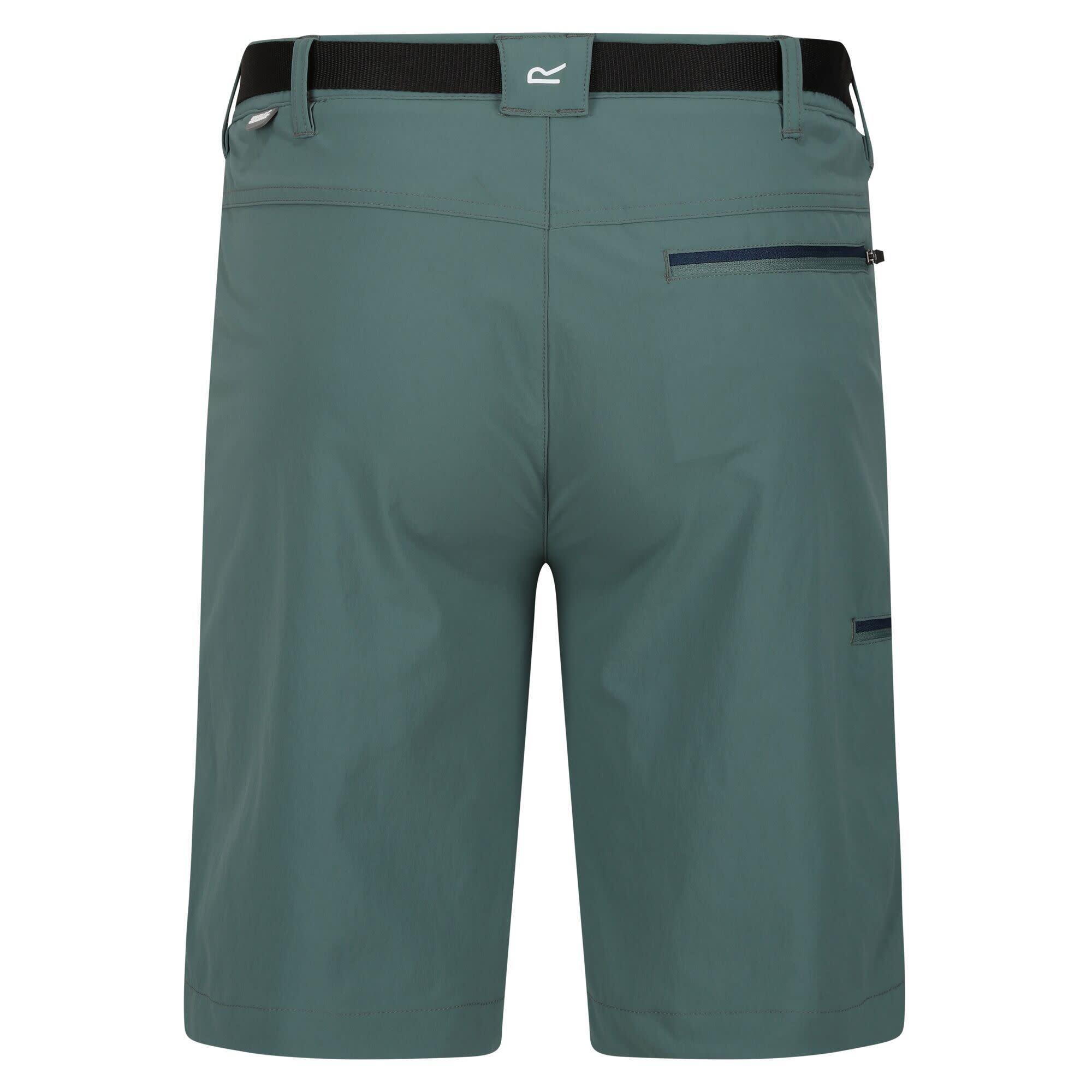 Pantalon De Randonnee Homme - REGATTA Xert StrShort III - Sea Pine 2/7