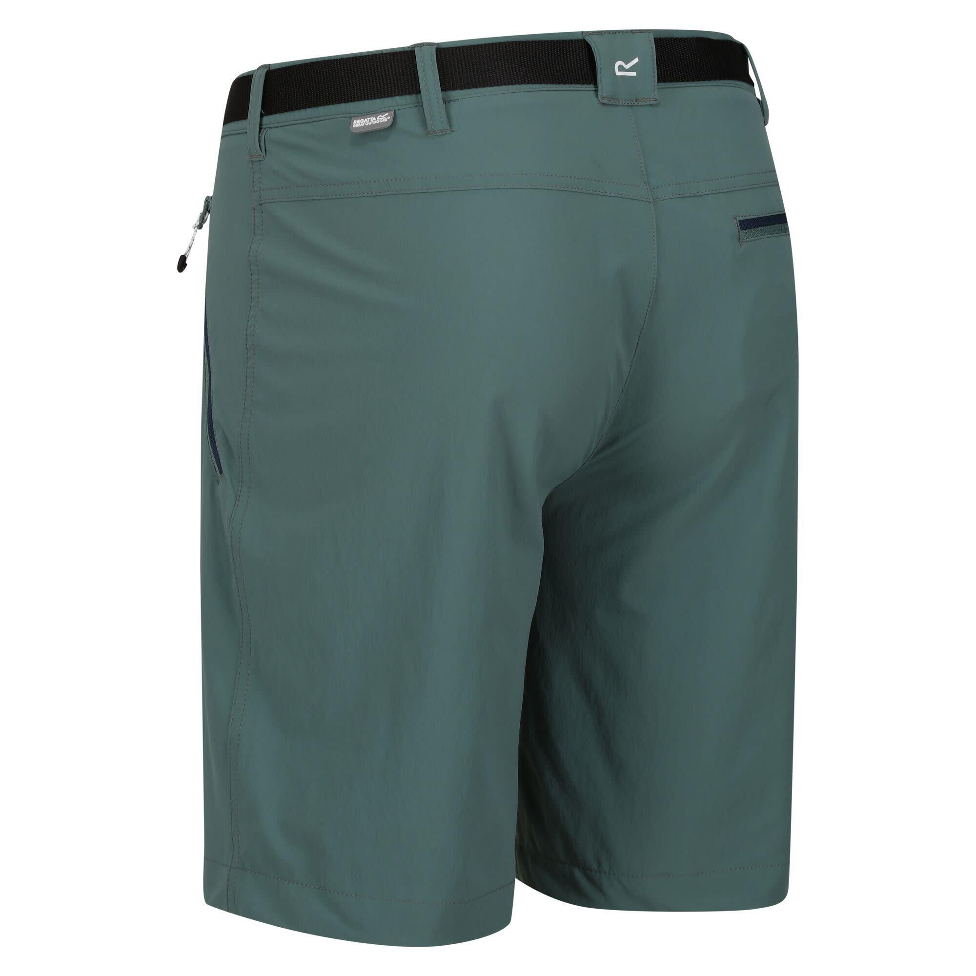 Pantalon De Randonnee Homme - REGATTA Xert StrShort III - Sea Pine 3/7