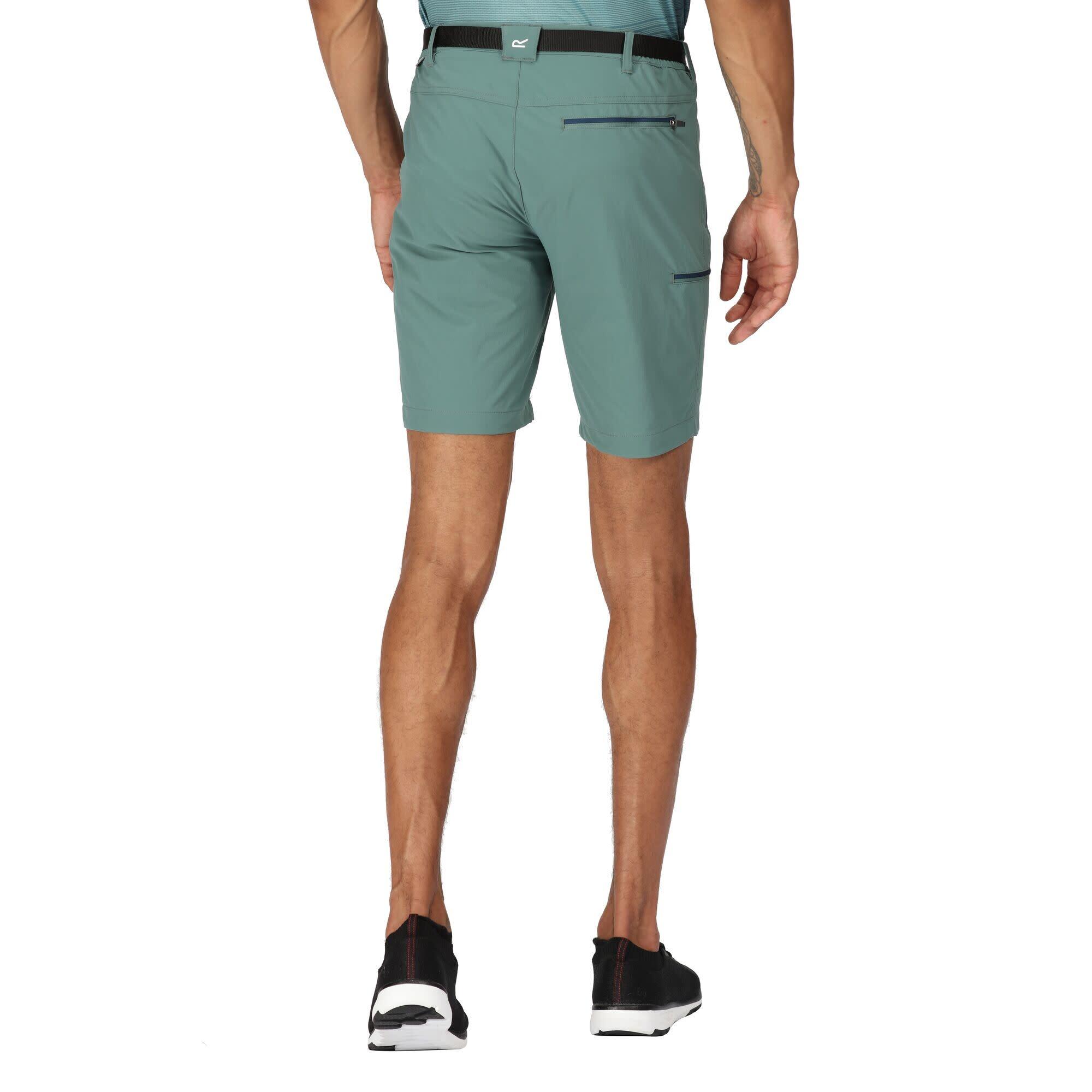 Pantalon De Randonnee Homme - REGATTA Xert StrShort III - Sea Pine 4/7