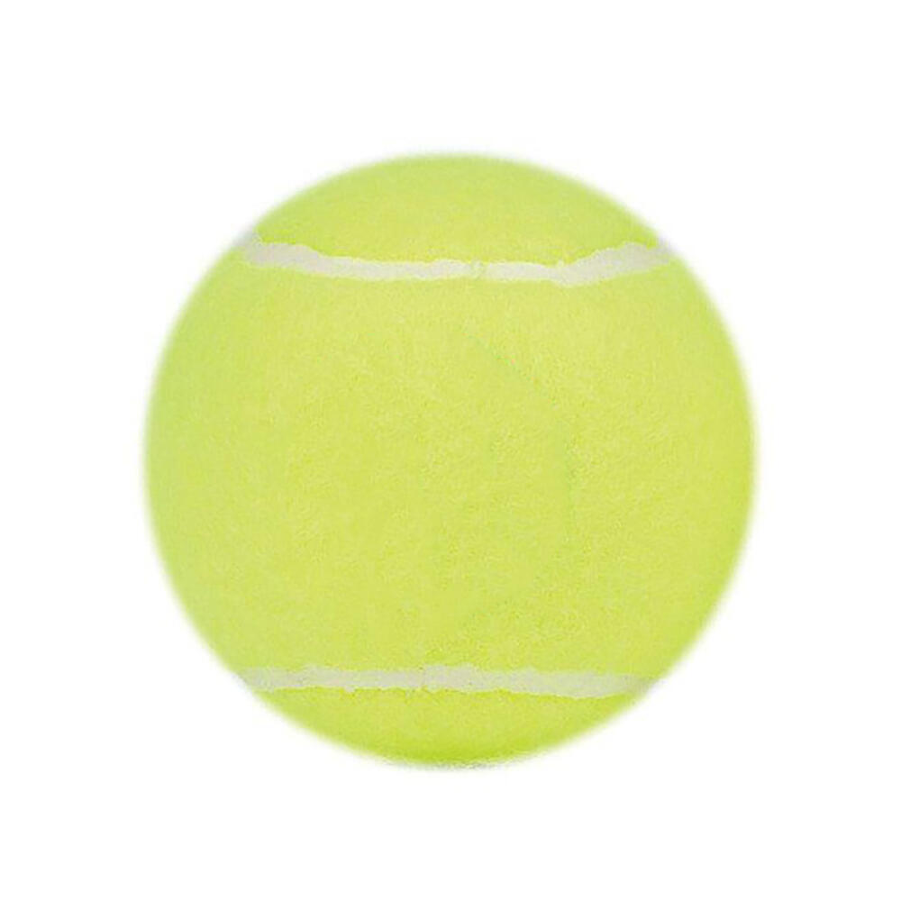 Bag of 60 tennis balls Prince Trainer 3/3
