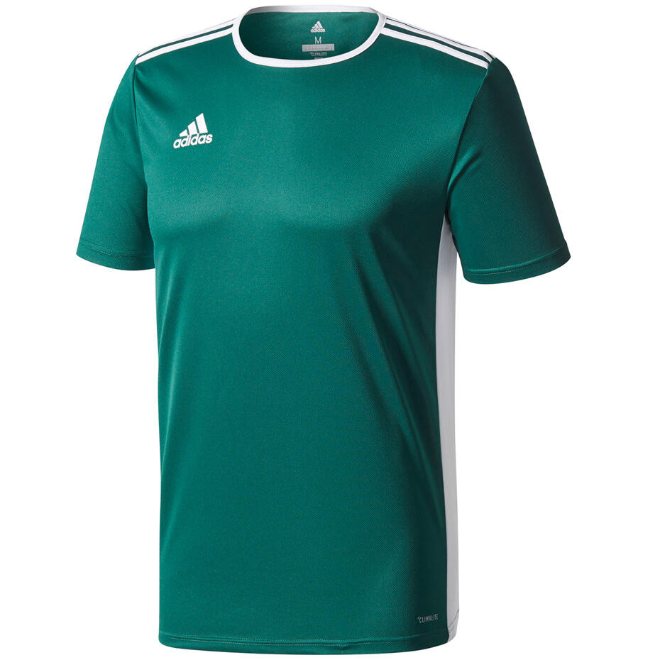 adidas entrada climalite
