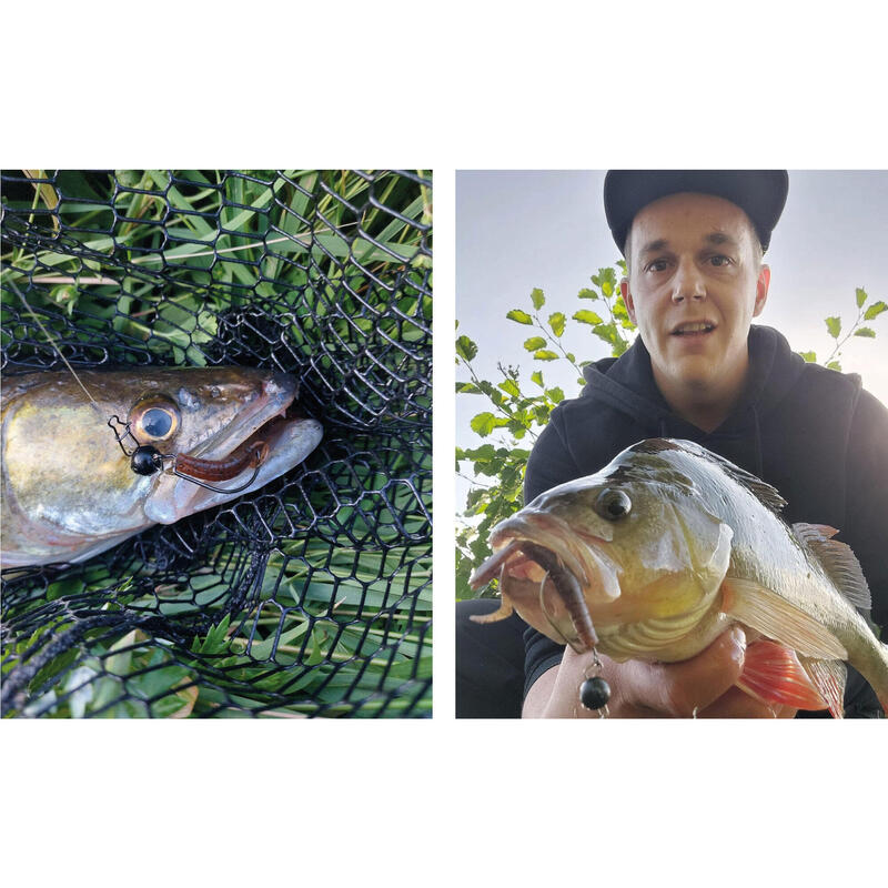 Creature Bait Gummiköder Inzite Craw - 72 STK - Barsch & Zander Angeln