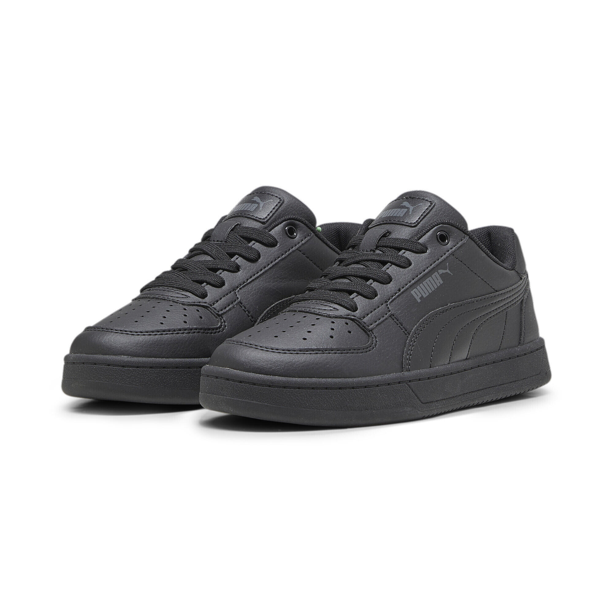 PUMA picture