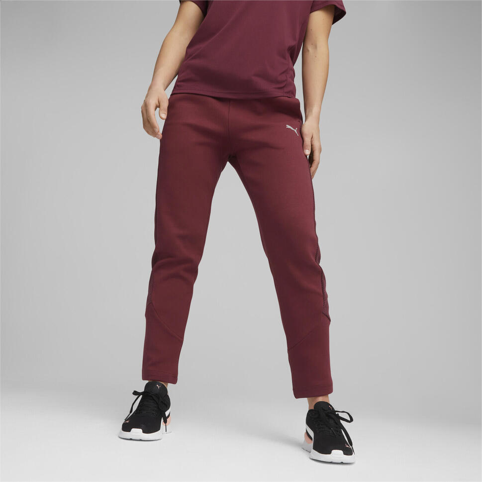 Puma Spodnie Evostripe Hw 67607522