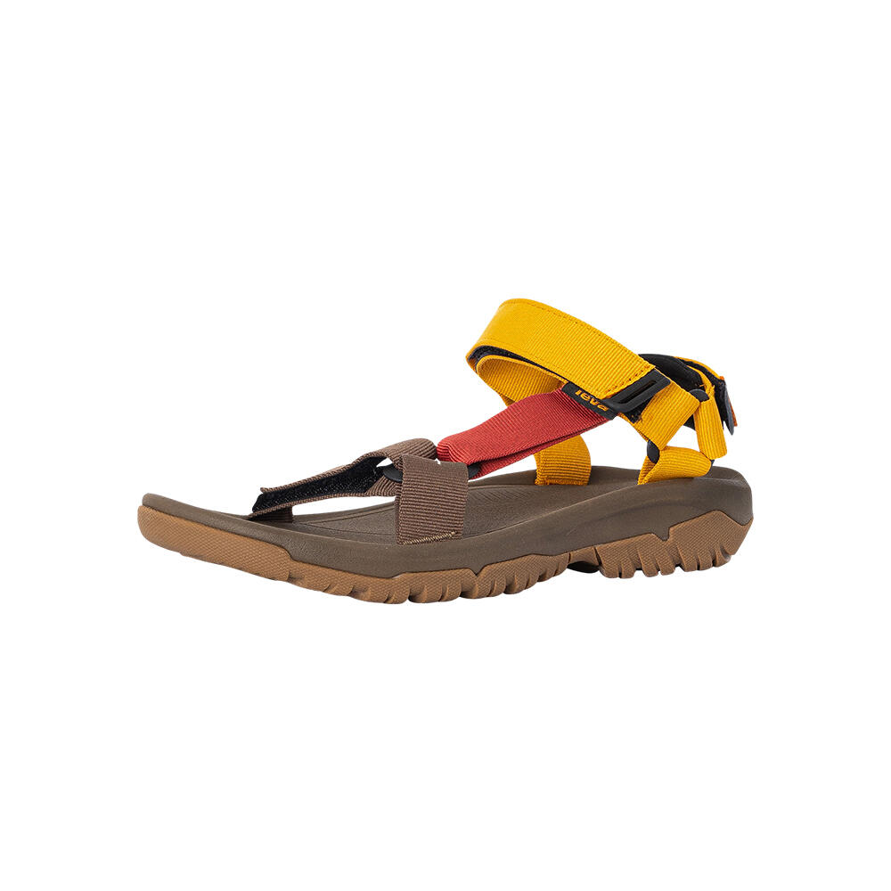 TEVA picture