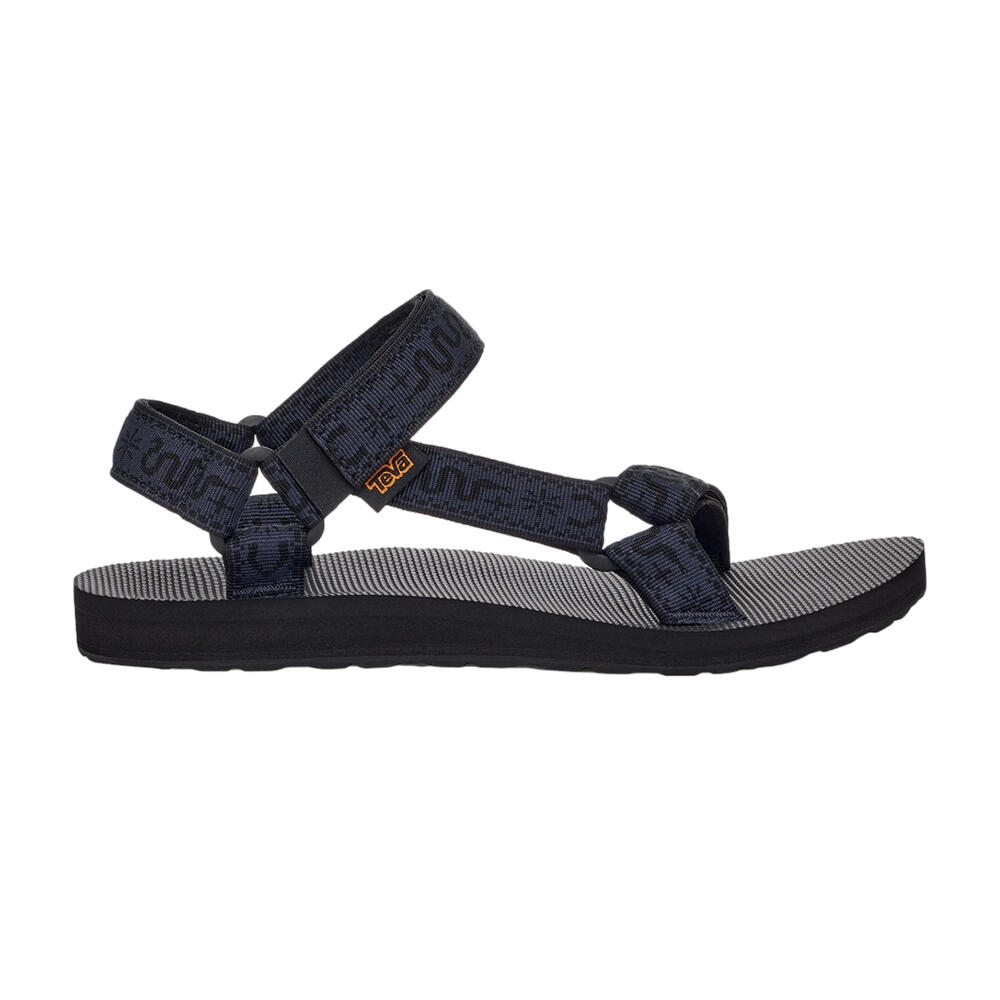 TEVA picture