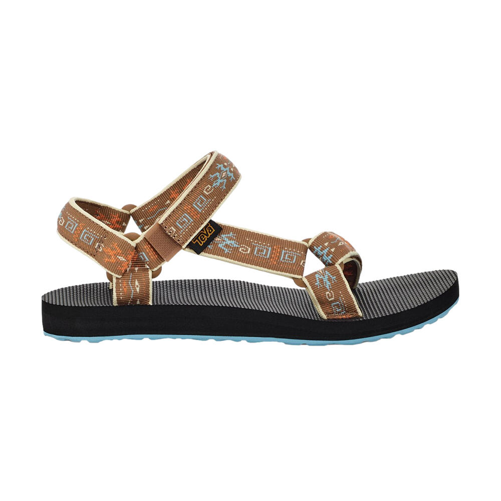 TEVA picture