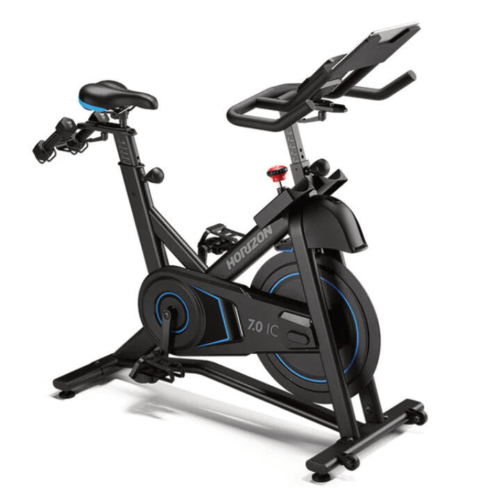 HORIZON FITNESS Horizon Bike 7.0IC