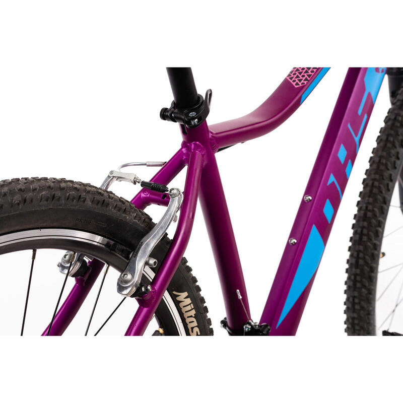 Bicicleta Mtb Terrana 2922 - 29 Inch, Violet