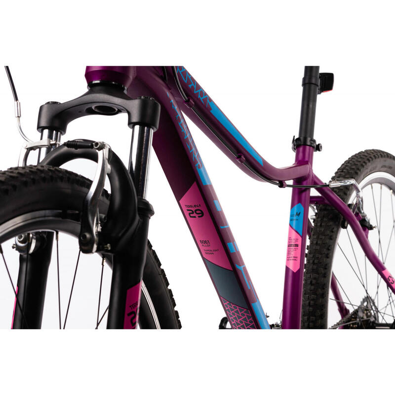 Bicicleta Mtb Terrana 2922 - 29 Inch, S, Violet