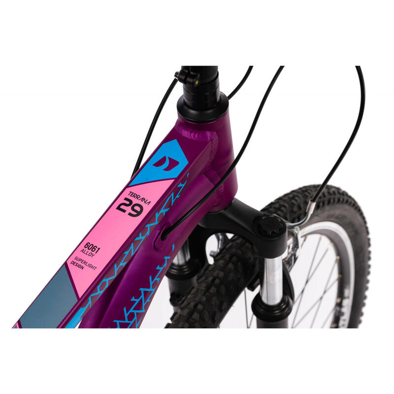 Bicicleta Mtb Terrana 2922 - 29 Inch, Violet