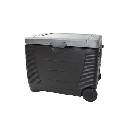 Glacière électrique trolley chaud/froid biénergies 45 litres