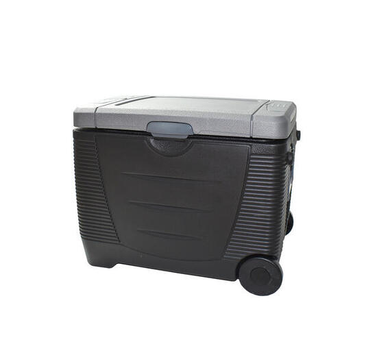 Glacière électrique trolley chaud/froid biénergies 45 litres