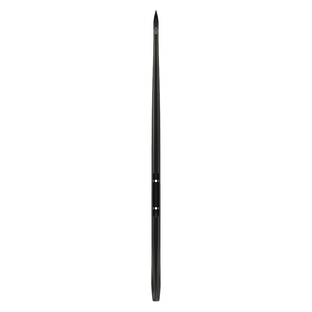 TAAROA picture
