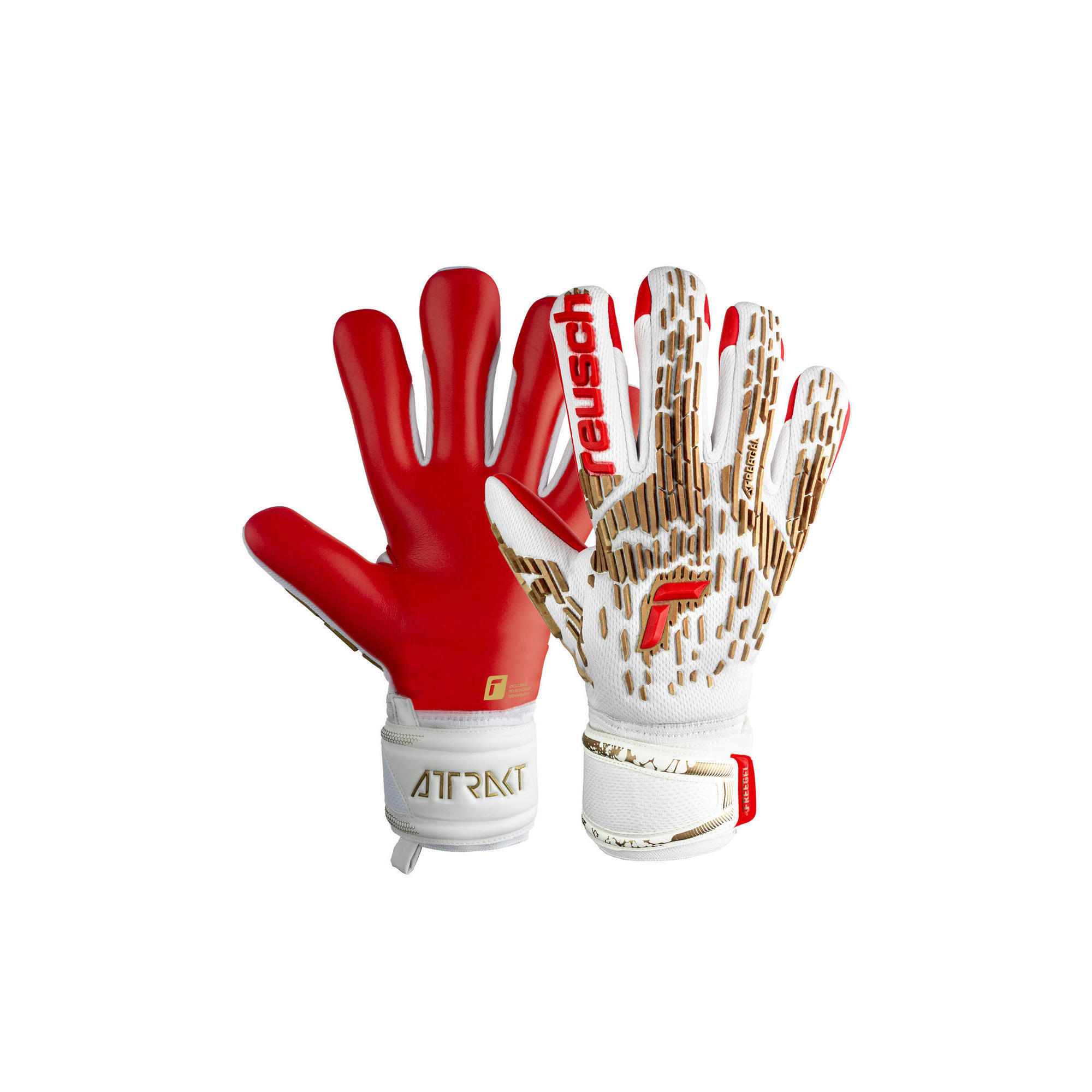 REUSCH picture