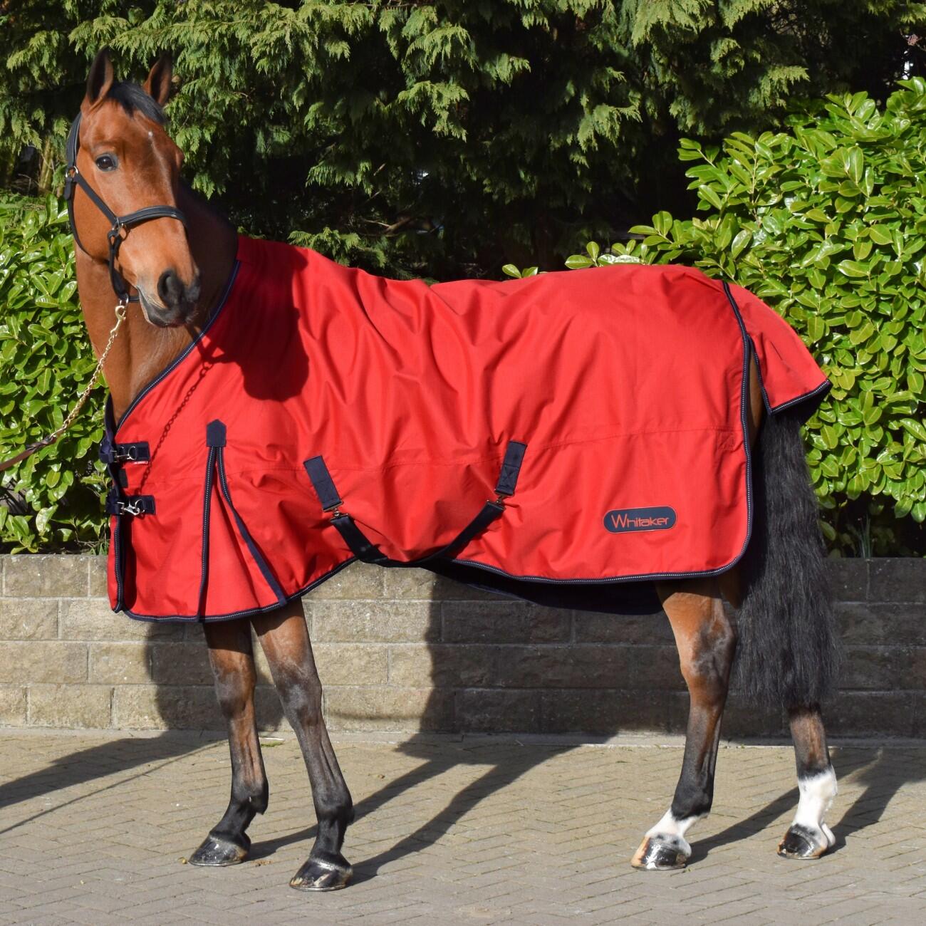 Rastrick 100g Lightweight Turnout Rug 3/3