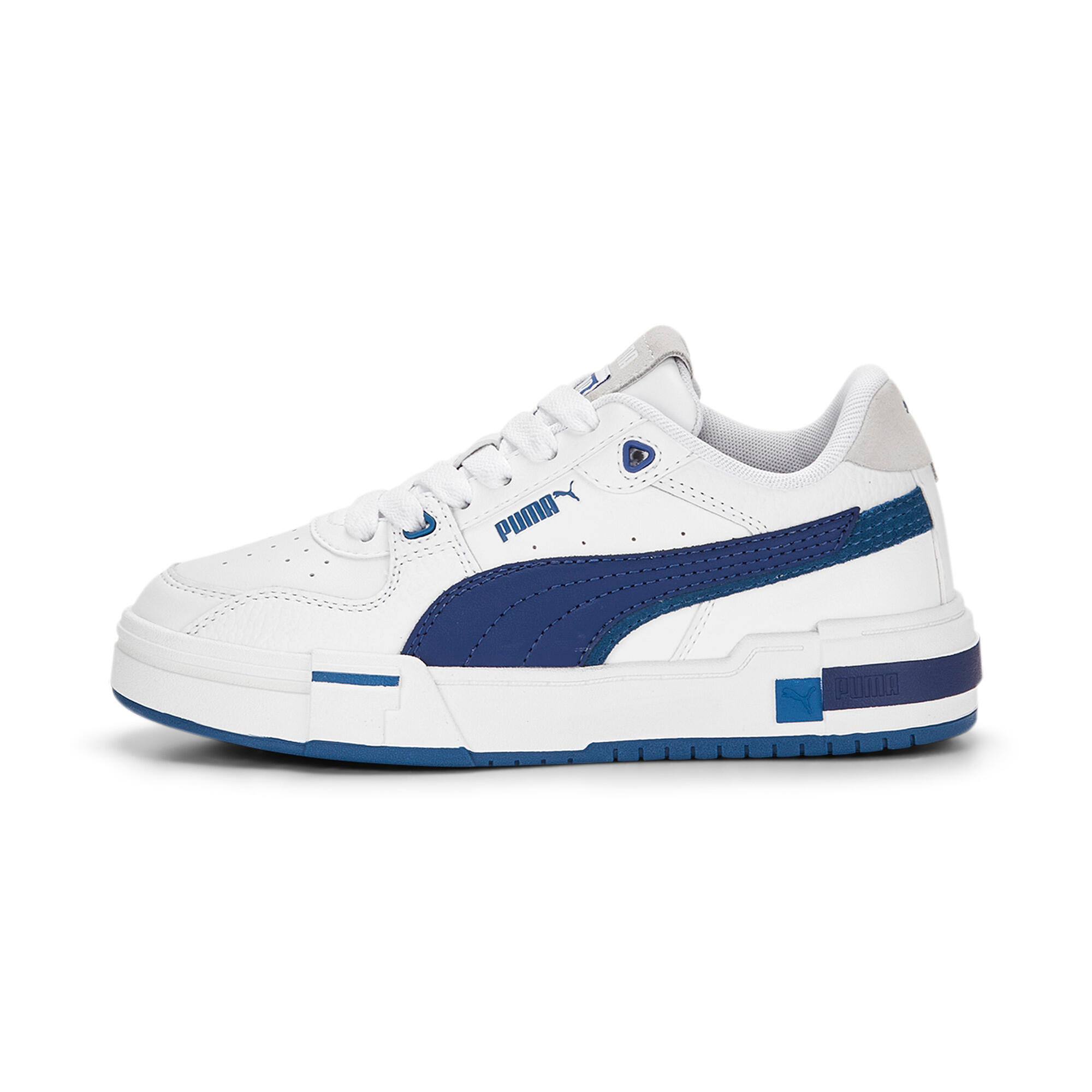 PUMA picture