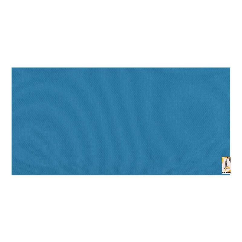 AeroSilver Anti-bacterial Deodorant Cool Sports Neck Towel - Blue