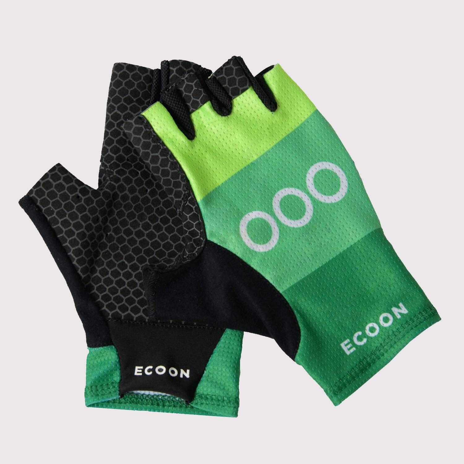 ECOON picture